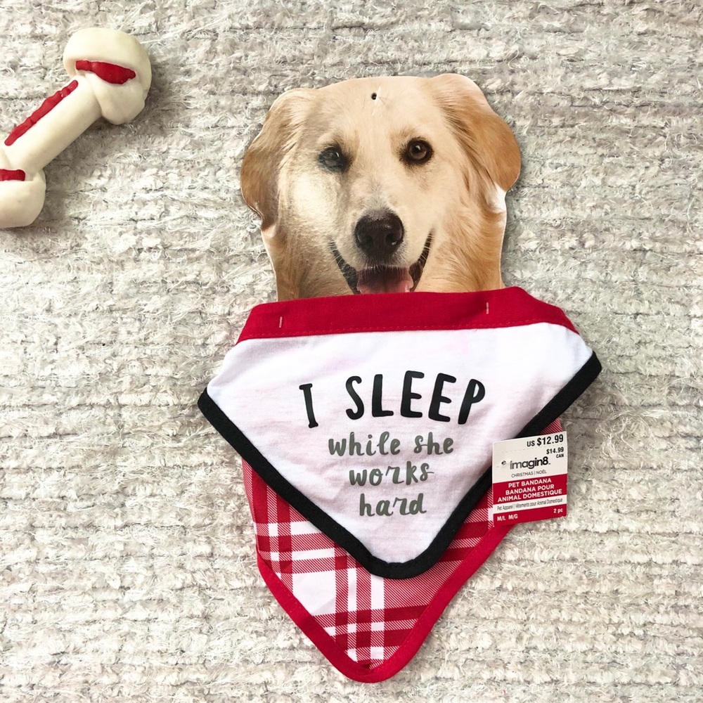 ✨HOST PICK✨🐶New with tag set of 2 Pet Bandanas” I SLEEP WHILE SHE WORKS HARD”